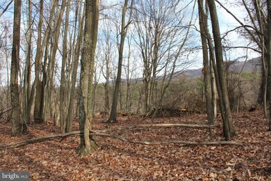 21.16 AC Ridge View Rd, Moorefield, WV 26836 - photo 6