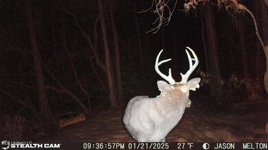 0 E Lake Cypress Dr unit 4133035, Perkinston, MS 39573 - photo 5