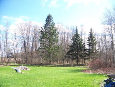 Yard goes to the trees.  Imagine the privacy once 
