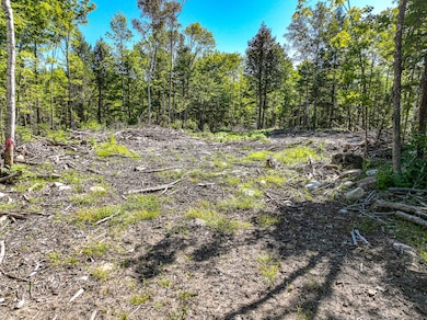 Lot 39 Sawyer Notch Rd, Andover, ME 04216 - photo 6