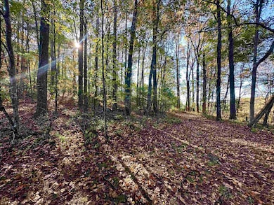 TBD Shelor Rd, Meadows of Dan, VA 24120 - photo 2