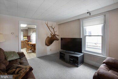 573 Furnace St, Emmaus, PA 18049 - photo 4