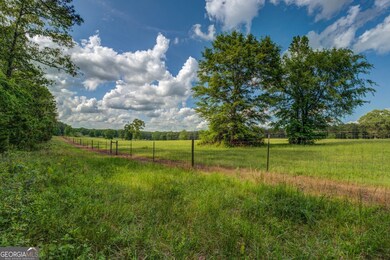 0 N Highway 11 unit 10498456, Monticello, GA 31064 - photo 6