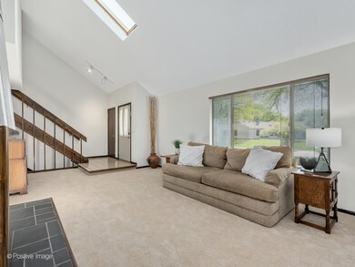 969 Collingwood Dr, Naperville, IL 60540 - photo 2