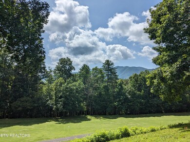 745 Hunters Run Rd, Townsend, TN 37882 - photo 7