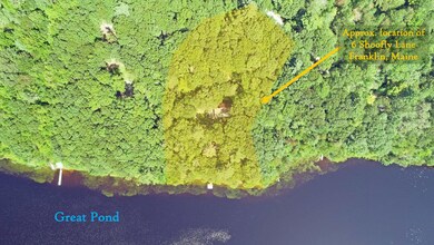 aerial (1) overlay