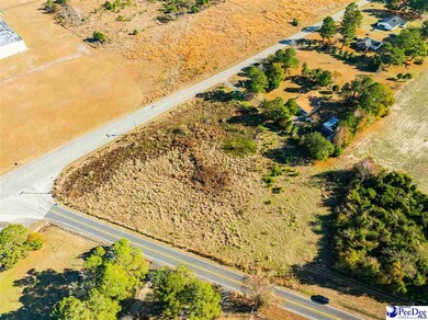 2.34 Acres Hwy 57, Pamplico, SC 29583 - photo 5