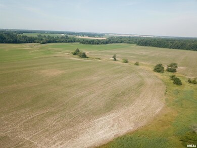 000 N Stanford Rd, Flora, IL 62839 - photo 6