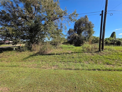 0 Wagon Wheel Trail unit 20641134, Angleton, TX 77515 - photo 2