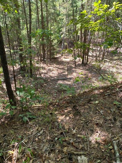 4755 Hwy 34 W, Paragould, AR 72450 - photo 2