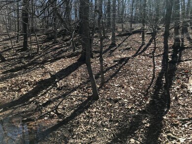 18023 Stout Mountain Rd, Fayetteville, AR 72701 - photo 3