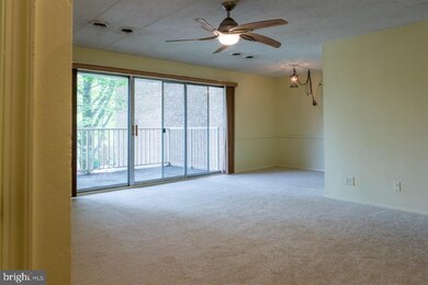2636 Fort Farnsworth Rd unit 127, Alexandria, VA 22303 - photo 3