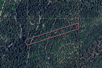 No Address Texas Hill Rd, Emigrant Gap, CA 95715 - photo 3