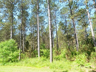 0 Old 35 unit 1508959, Siren, WI 54872 - photo 2