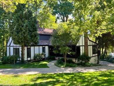 a picturesque backdrop highlights this 1970's cust