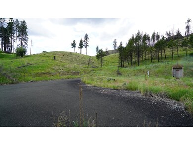 24954 Hwy 395 S, Canyoncity, OR 97820 - photo 5