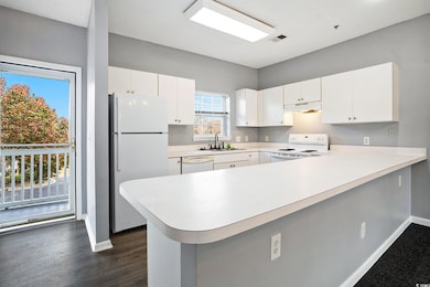 3935 Gladiola Ct unit 203, Myrtle Beach, SC 29588 - photo 5