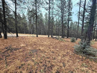Lot 122 San Juan Dr, Angel Fire, NM 87710 - photo 3