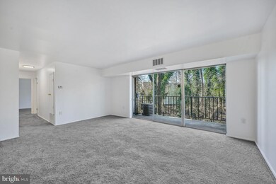 5219 Newton St unit 102, Bladensburg, MD 20710 - photo 5