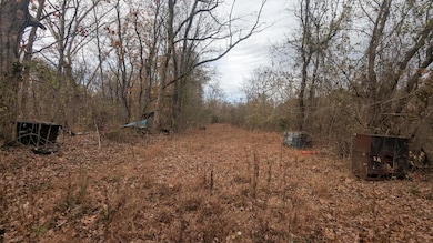 0 Weaver Ln unit 25-699, Charlotte, AR 72522 - photo 5