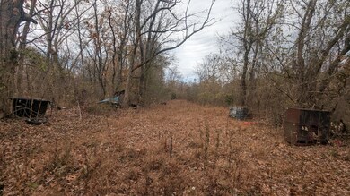 401 Weaver Ln, Charlotte, AR 72522 - photo 5