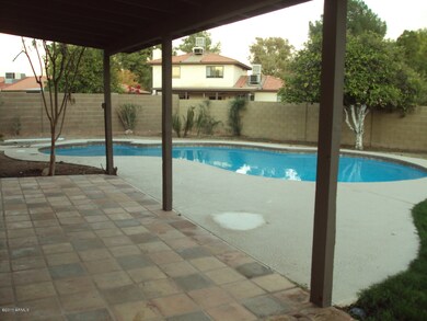 Pool and Patio
