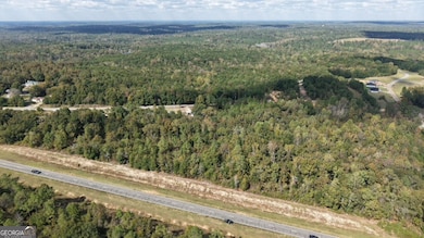 412 Georgia 137, Cusseta, GA 31805 - photo 3