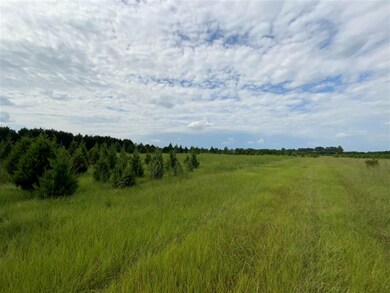 0 Cordele Hwy unit Tract 2 215622, Hawkinsville, GA 30451 - photo 5