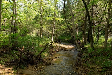 22474 State Hwy N, Squires, MO 65755 - photo 5