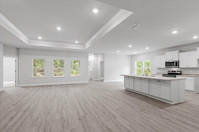 110 Getaway Ln, Crawfordville, FL 32327 - photo 6