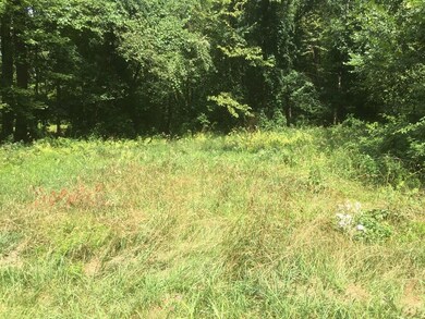 0 Mohawk Trail, Hawley, MA 01339 - photo 4