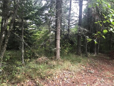 13232 Rocking South Ln SE, Yelm, WA 98597 - photo 6