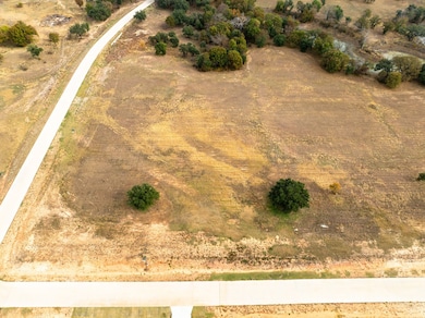 5007 Stover Way, Granbury, TX 76049 - photo 3