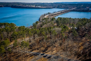 Lot B,C & D Traway Lane Stanfield Rd, Edgemont, AR 72044 - photo 3