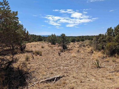 Lot 23 Farraday Rd, Durango, CO 81303 - photo 6