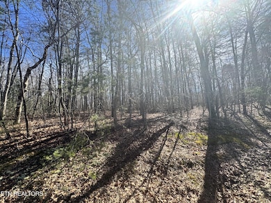 0 N Laurel Loop unit RTC2962883, Monterey, TN 38574 - photo 6