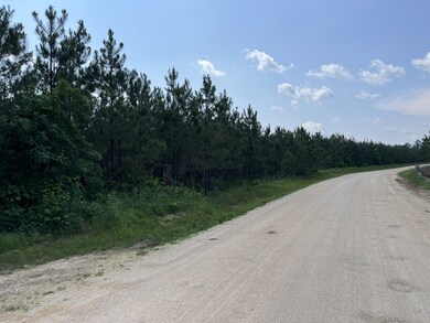 0 Sinking Creek Prong, Linden, TN 37096 - photo 3