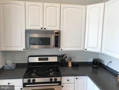 201 Secretariat Dr unit Q, Havre de Grace, MD 21078 - photo 7