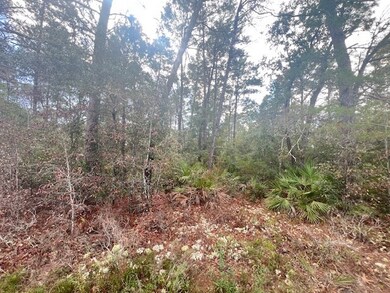 1014 Sunset Cir, Carrabelle, FL 32322 - photo 7