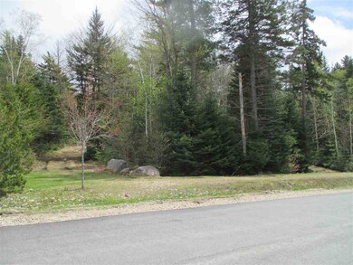 4 Golden Heights Rd unit 29.1, Waterville Valley, NH 03215 - photo 3