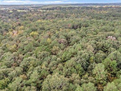 TBD County Road 711, Nacogdoches, TX 75964 - photo 6