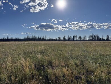 0 White Birch Way unit 10 100277061, Bly, OR 97622 - photo 5