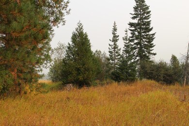 IMG_1587