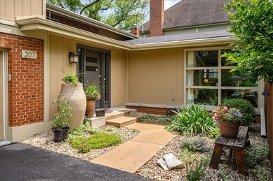 207 S Poplar Ave, Elmhurst, IL 60126 - photo 3