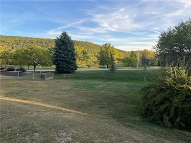 31 S Platt St, Painted Post, NY 14870 - photo 7