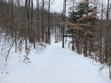 0 Rustic Rd, Pike Township, PA 16833 - photo 4