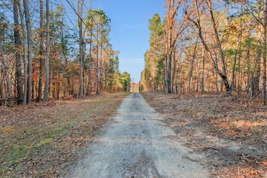 7164 Dice Lampley Rd, Fairview, TN 37062 - photo 4