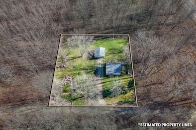 3651 Hog Creek Rd, Allen, MI 49227 - photo 3