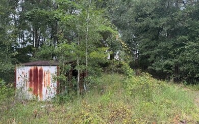 27210 41st Rd, Branford, FL 32008 - photo 4