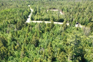 DJI_0390
